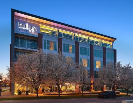 Tulyp, Tapestry Collection by Hilton