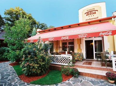 莱维采酒店住宿-Penzion Tilia