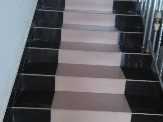 蒙顶山远望茶业