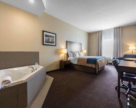 Comfort Inn & Suites-官方