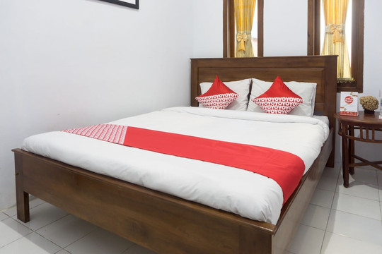 OYO 801 Hansa Homestay