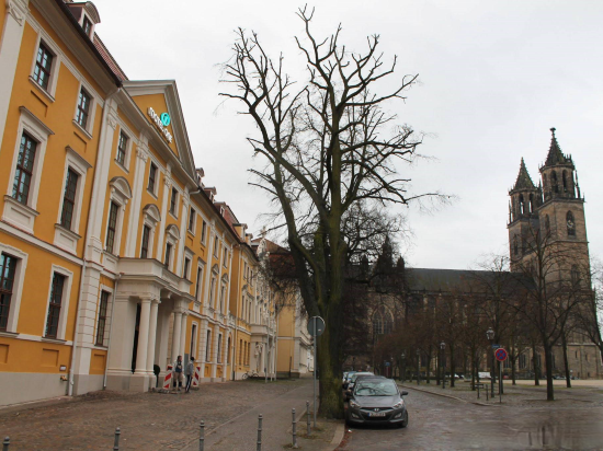 Motel One Magdeburg
