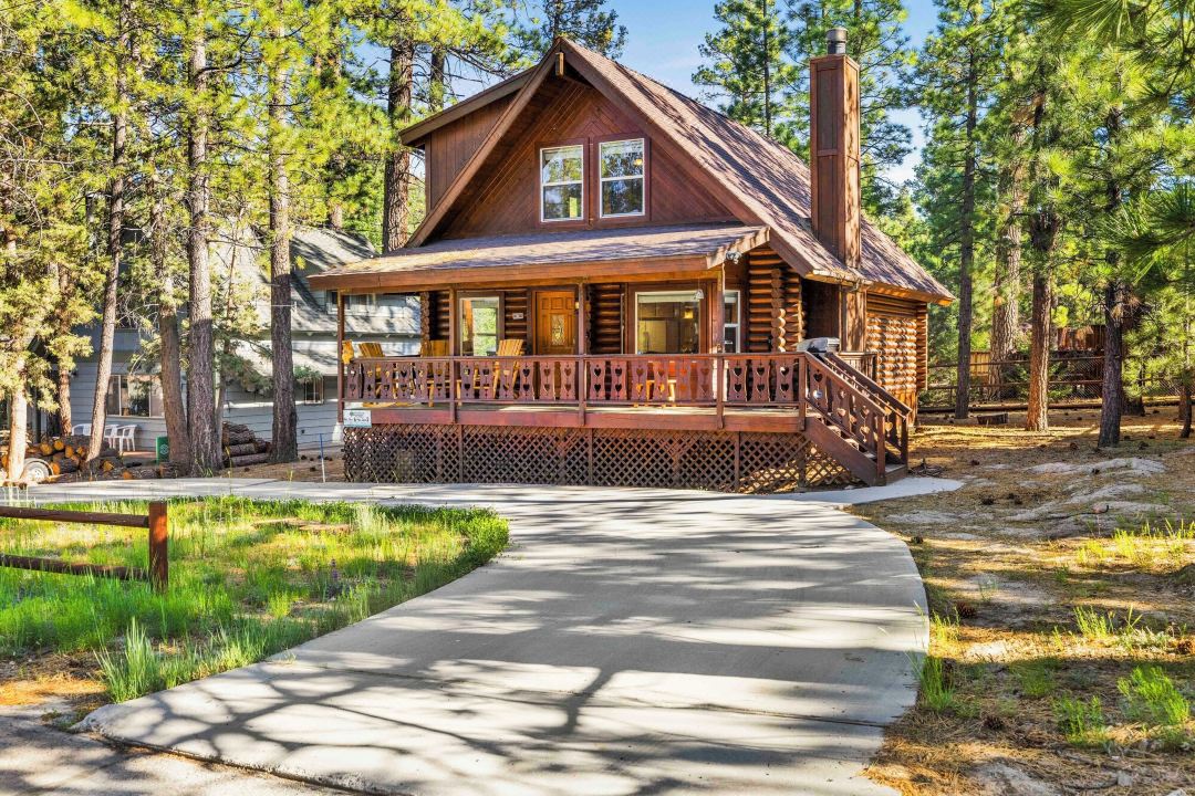 Cub's Cabin #2561