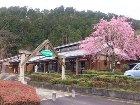 Woody House Kamo-官方