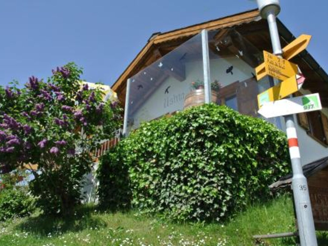 Uors酒店住宿-Ustria Pension Trutg
