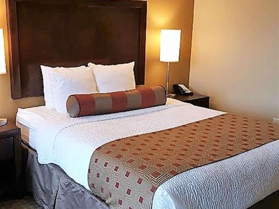 Best Western Plus Lacey Inn & Suites Room Type - Standard Room, 1 King Bed, Non Smoking, Refrigerator & Microwave (Pet Friendly)
