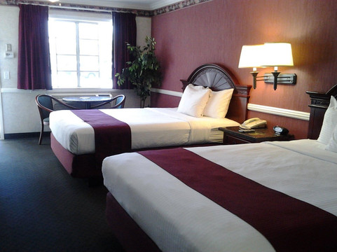 里布戴娜丝缇套房酒店