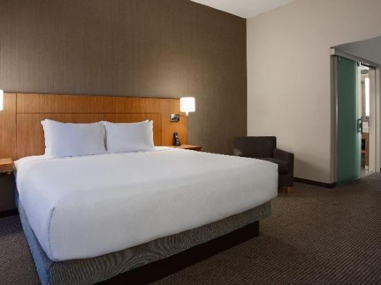 Hyatt Place Minneapolis Downtown Room Type - KING BED ROOM