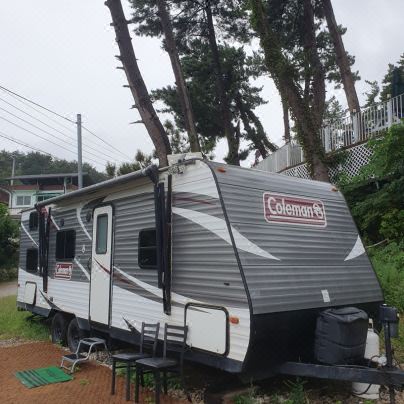 Uljin 1 Night 2 Days Pension (Dog Companion)