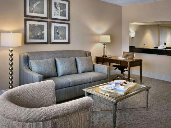 Hilton Greenville Room Type - One-Bedroom King Suite