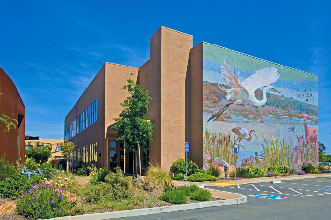 纳帕谷美国大峡谷希尔顿逸林酒店及度假村-官方