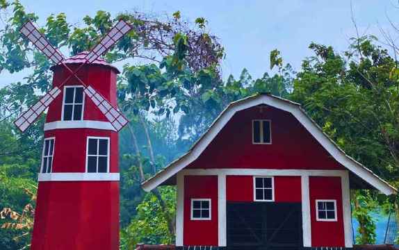 茂物绿色森林-官方