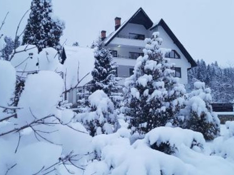 Garcina酒店住宿-Pensiunea Almas