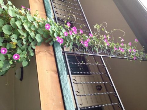 岭顶汽车旅馆 - 布赖森城-官方