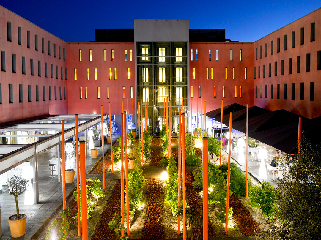 雷迪森布鲁图卢兹机场酒店