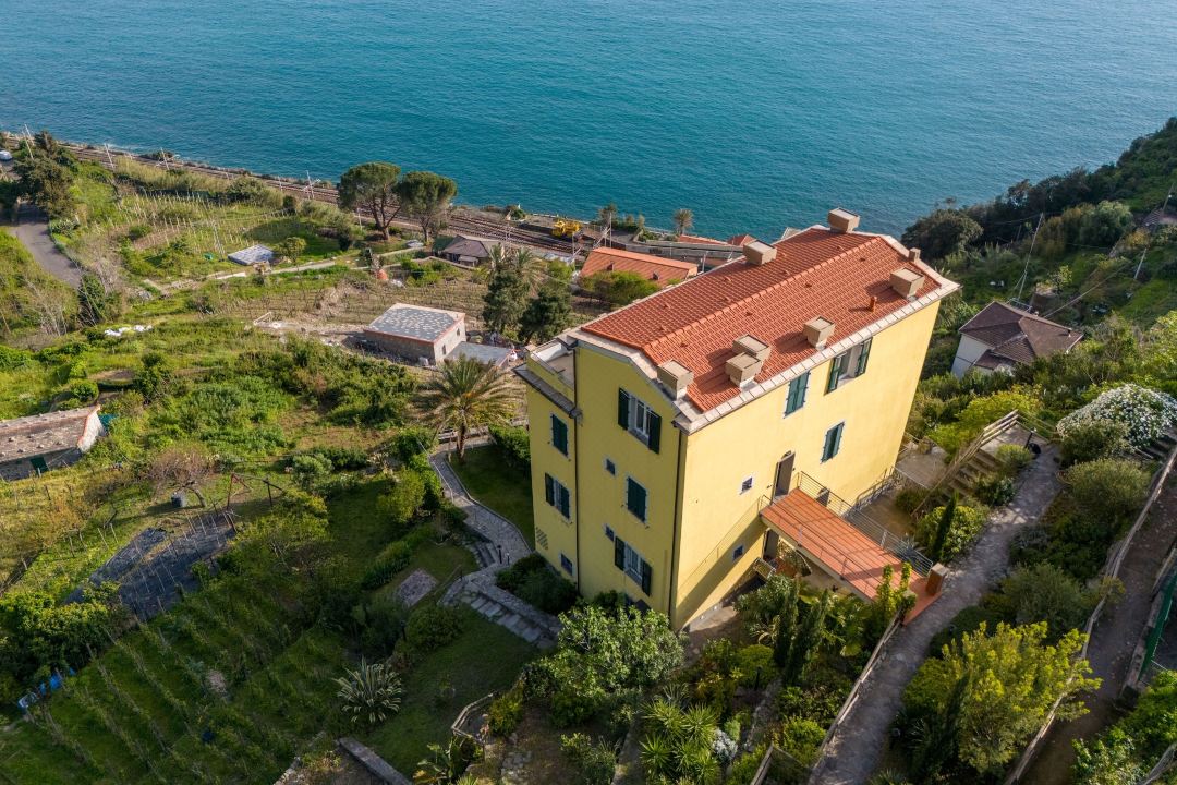 La Coccinelle - Superb Views