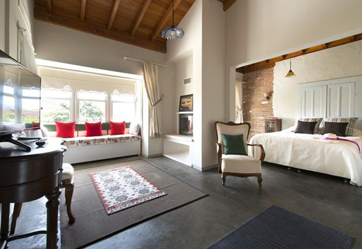 阿拉恰特科斯特姆酒店 - 特殊类别