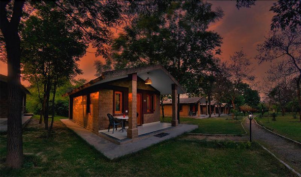 旁遮普邦酒店住宿-The Kikar Lodge