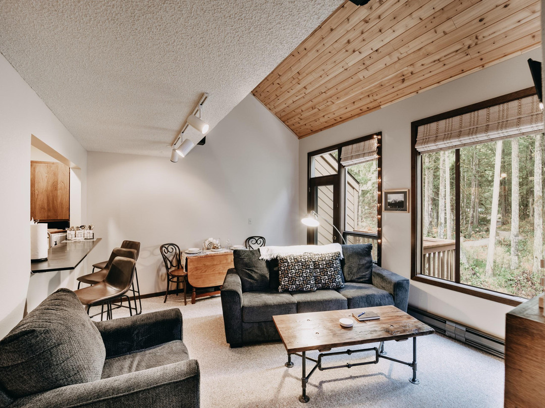 Condo - Pets OK - Fireplace, Sleeps 4!