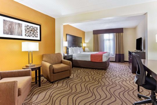 Comfort Inn & Suites Tampa North I-75