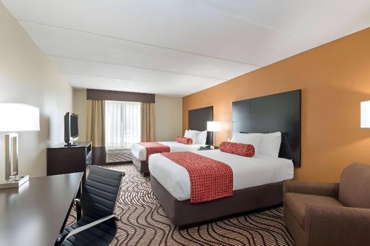 Comfort Inn & Suites Tampa North I-75