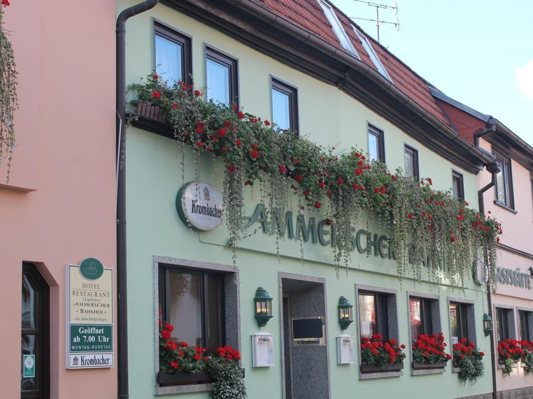 Mühlhausen酒店住宿-Ammerscher Bahnhof