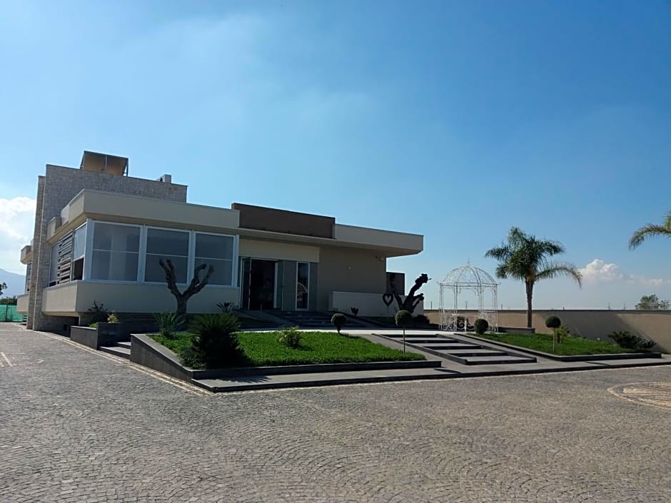 Angel's Paradise-官方