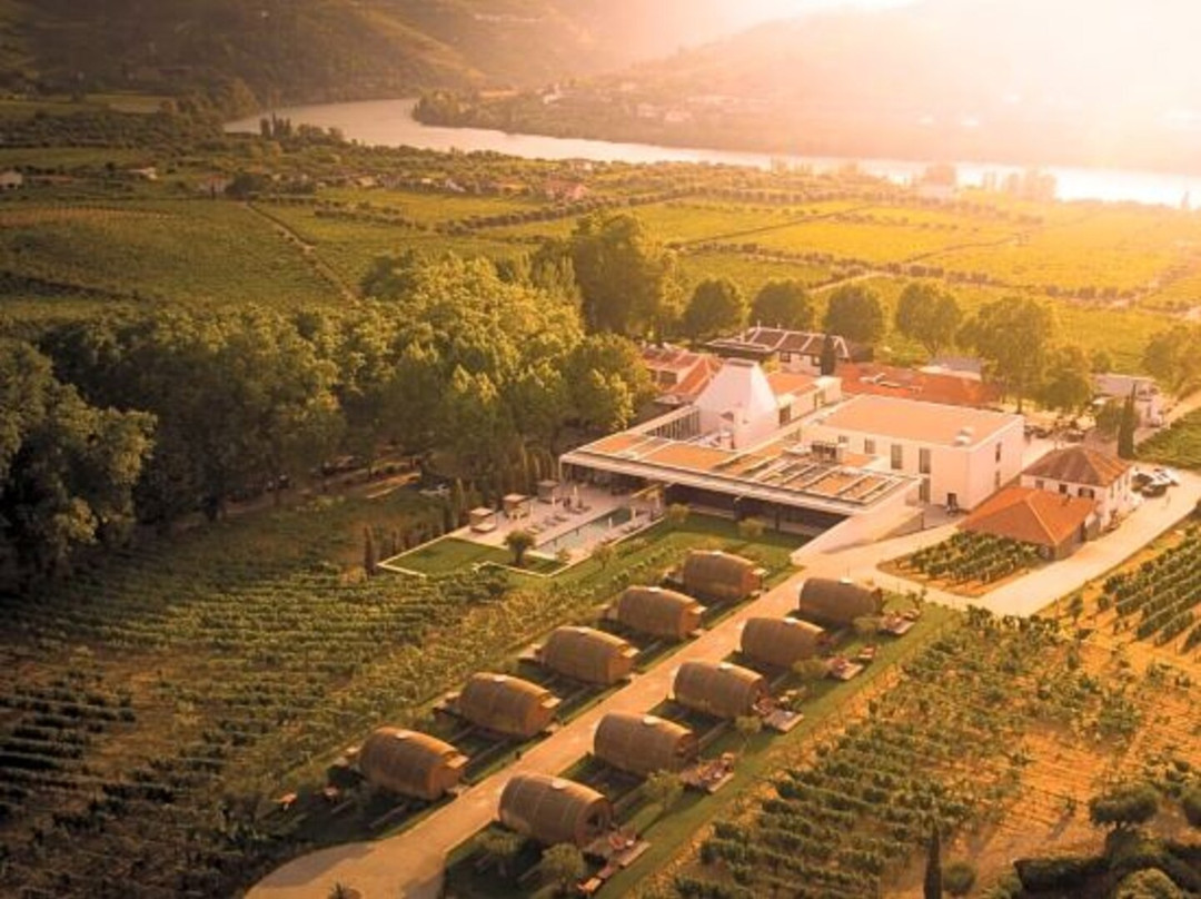 Quinta da Pacheca