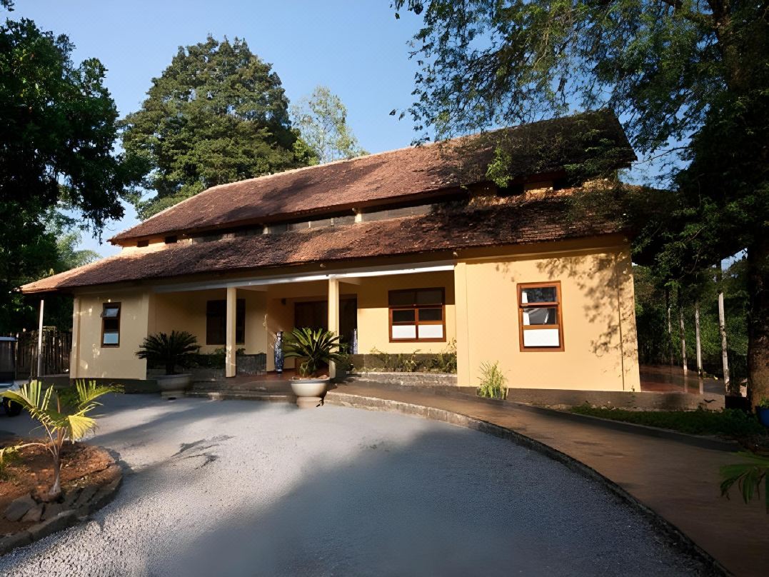 Forest Floor Lodge