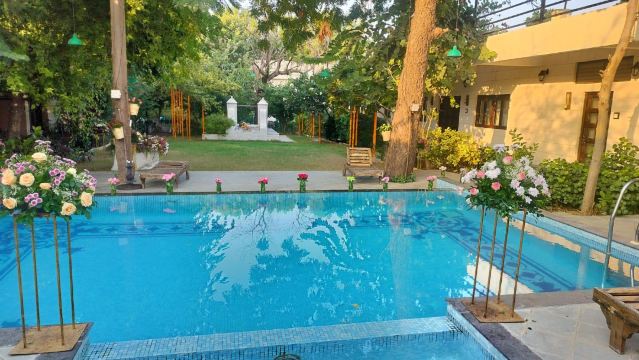 生命之樹Darbargadh，Dared