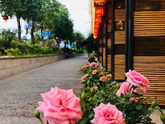 西昌泊月小筑宽庭酒店