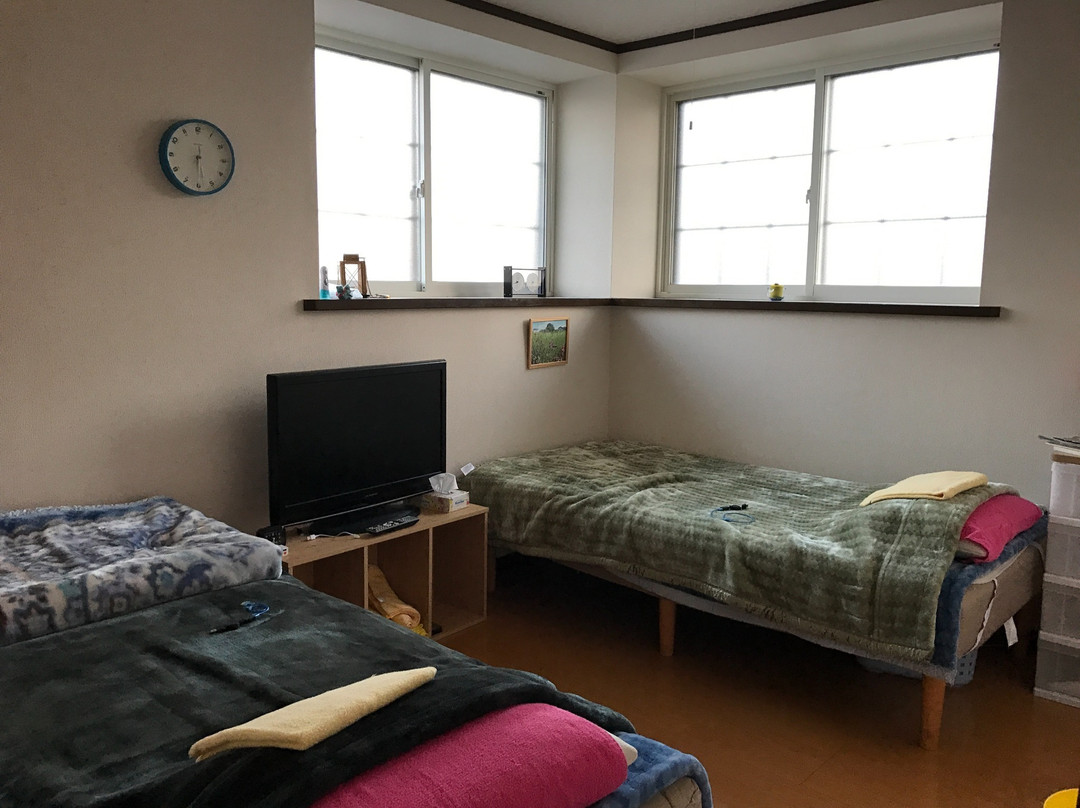Misato Kinenkan，一个满是猫的旅馆
