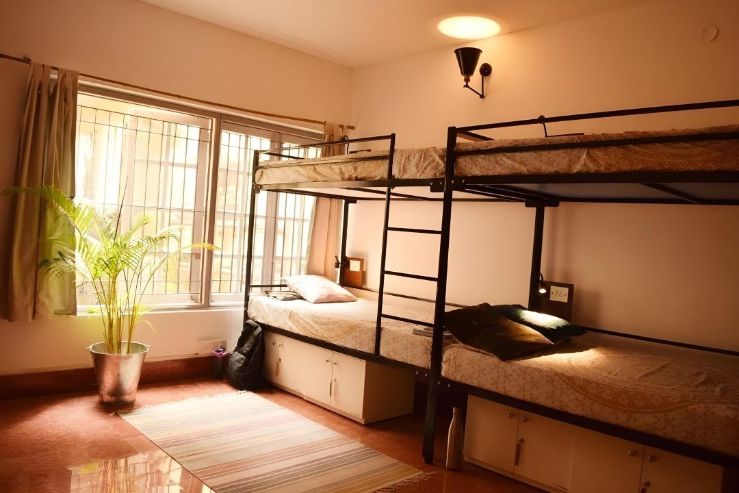 BE Animal Hostel