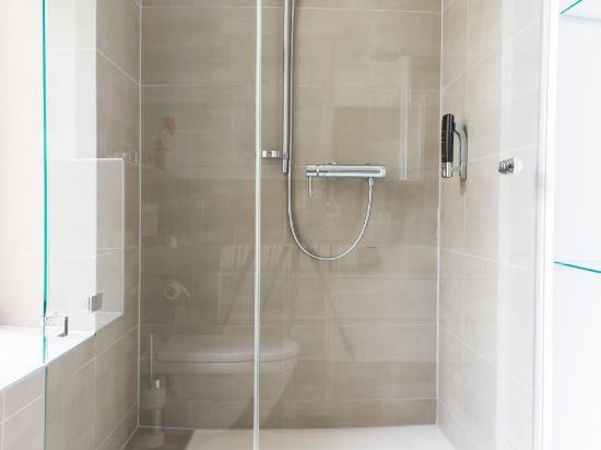 Helvetia Suites Room Type - Superior Suite