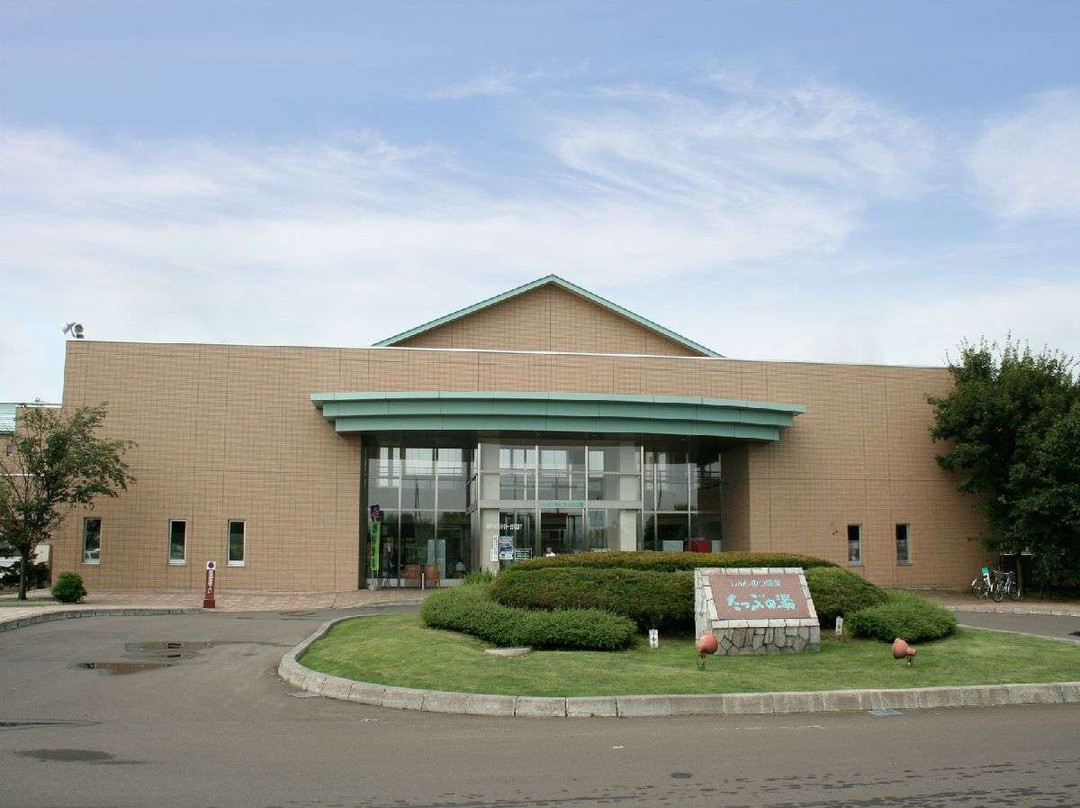 新筱津村踏浦温泉酒店主图