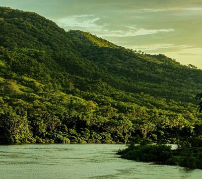 Cabañas Alpinas-El Trapiche-Tarapoto
