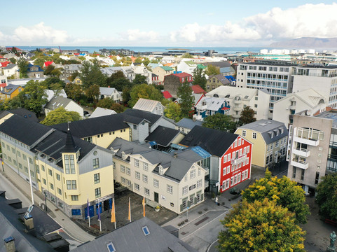 雷克雅未克中心酒店