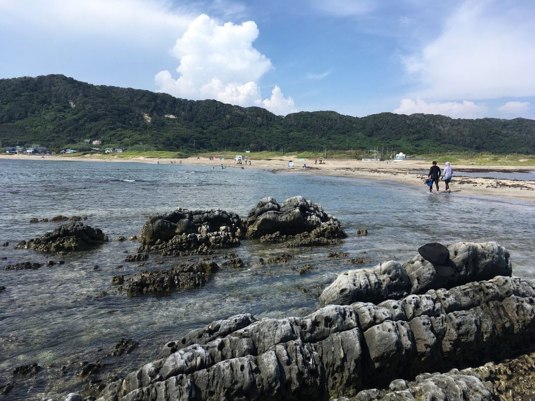 CARDIFF TRAILER HOUSE