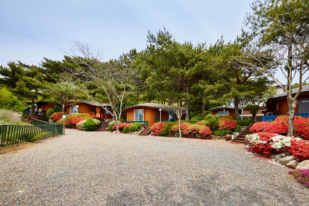 Taean Pension Tom and Jerry