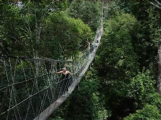 Mutiara Taman Negara, Jerantut ( ̶4̶6̶4̶3̶ ) Hotel Price, Address 