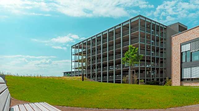 黛丝弗拉斯阿尔高-官方