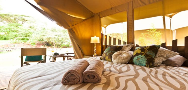 Wildebeest Eco Camp