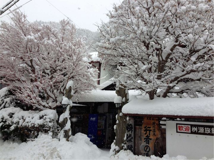 马苏根日式旅馆-官方