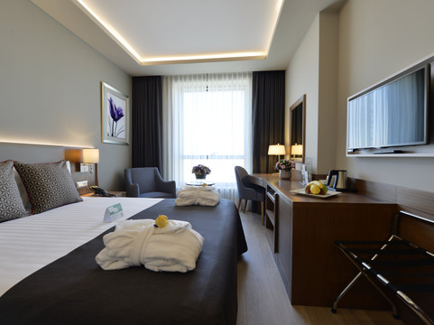 Holiday Inn Bursa - City Centre by IHG