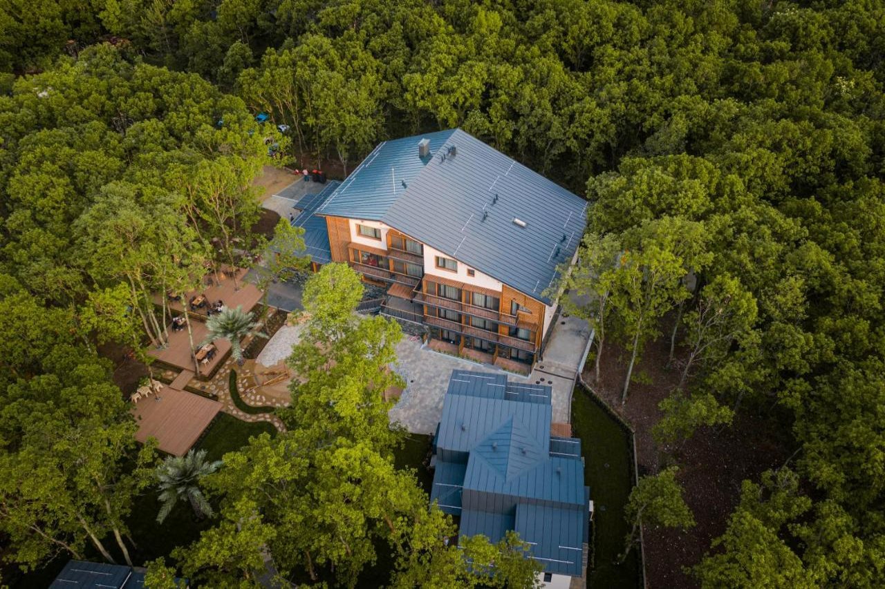 乌托邦森林酒店-官方