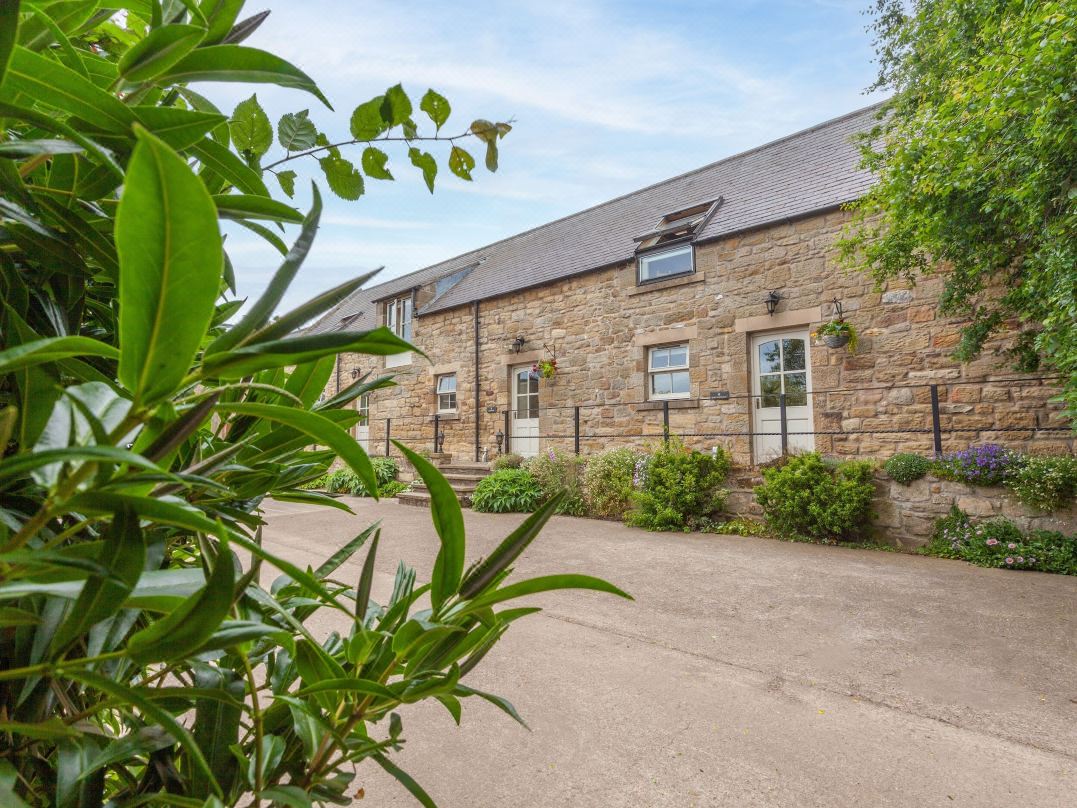 Jenny's Cottage