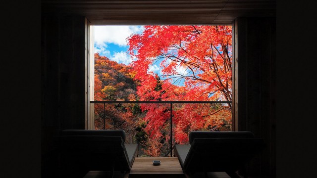 松山时地人-官方