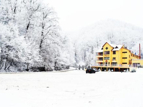 Seini酒店住宿-Pensiunea Magura