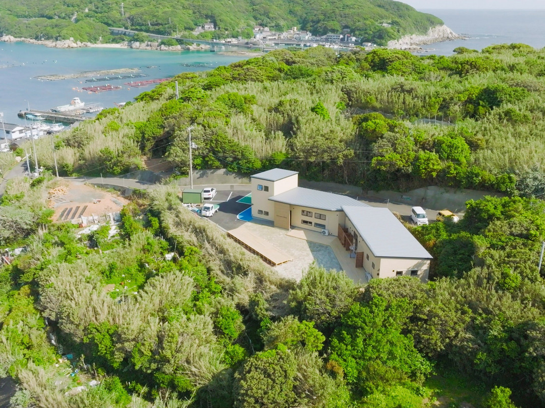 柏岛村