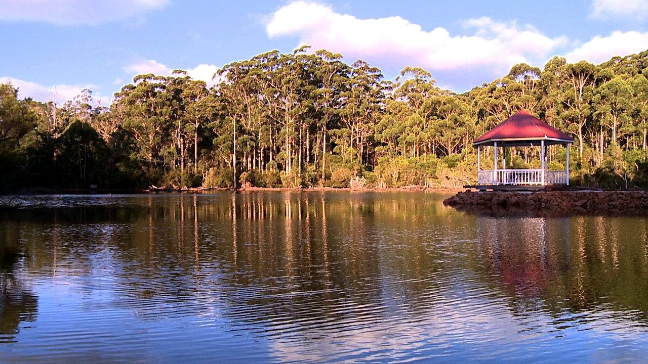 森林山林小屋度假酒店-官方